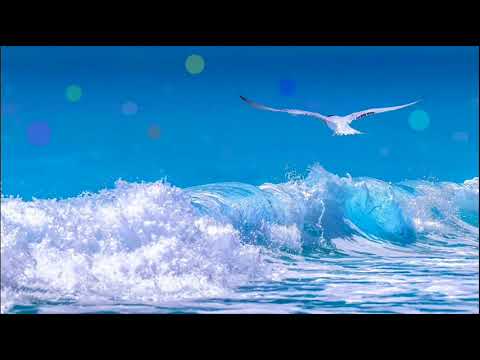 Ангелайт - Океан | Angelight - Ocean