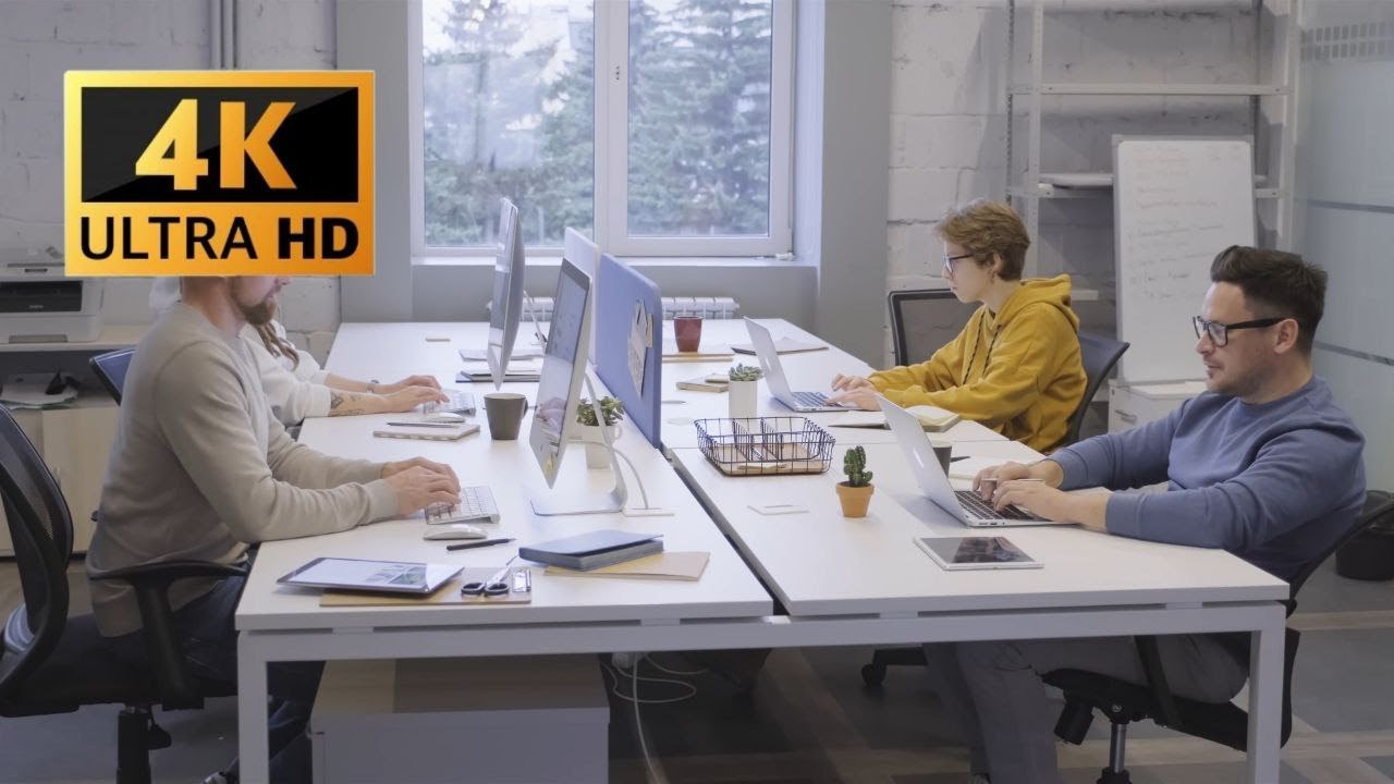 Office | 4K | No Copyright | Stock Video