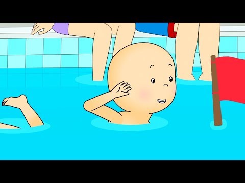 Caillou's Front Crawl | Caillou Cartoon