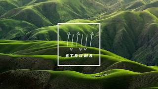 Freedom Fry - Party Down