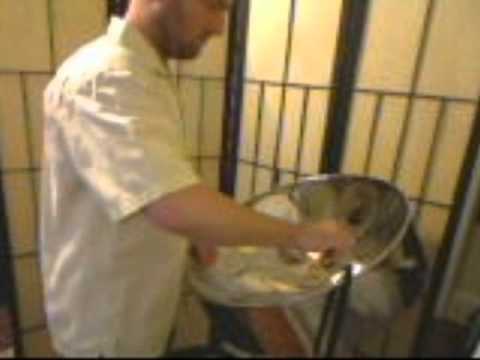 Promotional video thumbnail 8 for Kristian Paradis - Steel Drums
