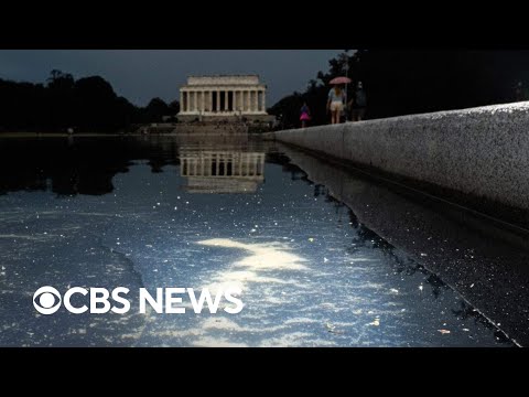Trump blames vandals for Reflecting Pool problems without providing proof