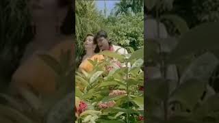 Download lagu Kehna Na Tum Yeh Kisi Se | Pati Patni Aur Tawaif | Mithun Chakravarti, Salma Aagha | Mohd.Aziz mp3