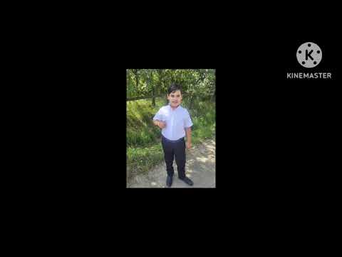 Zsolti zenész - Had szoljon Minyának sok szeretettel 