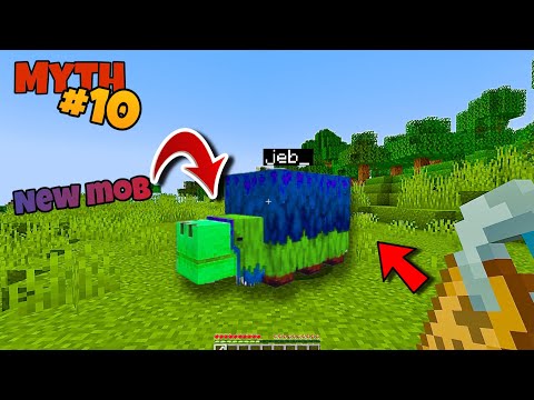 10 Minecraft Myths Busted in 6 Minutes?! 😱