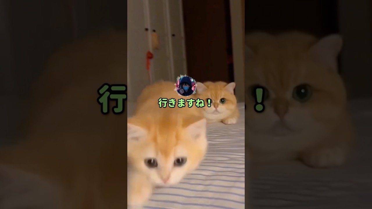 「今１人ですか？」コンビニバイト中に電話がかかってきて…