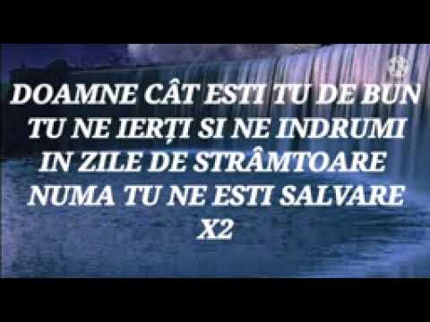 NEGATIV - AM AJUNS ZILE ÎN CARE - CORINA MOLDOVAN