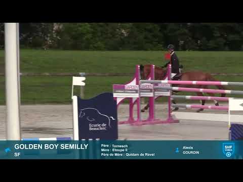 GOLDEN BOY SEMILLY (Tornesch x Quidam de Revel) 5ans / 5YO - 2021