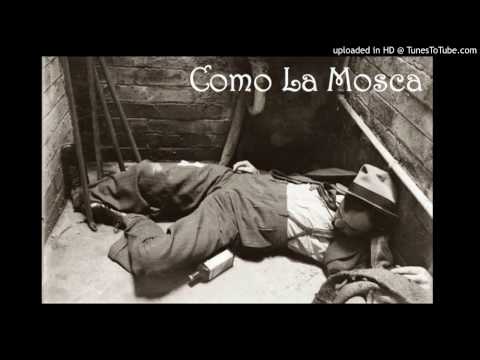 Today's Tango Is... Como La Mosca - Francisco Canaro 10-04-1931