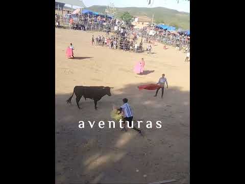 Nueva aventura en la corrida de toros Aiquile 2026 