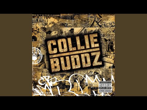 Blind to You - Collie Buddz