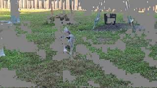 Jumping Simon for squirrels