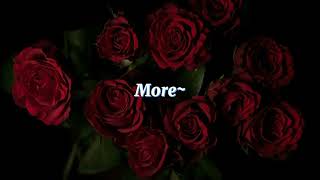 Cover art for Stalkers Tango