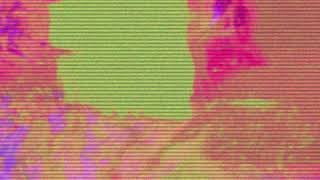 King Gizzard And The Lizard Wizard and Mild High Club - The Book