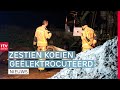 Drama op boerderij in Hooghalen: 16 koeien dood & Wolvenconsulent helpt schapenhouders | Drenthe Nu
