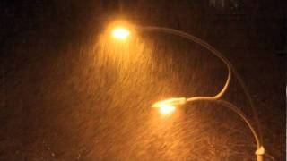 The Stargazer Lilies // Ahhh