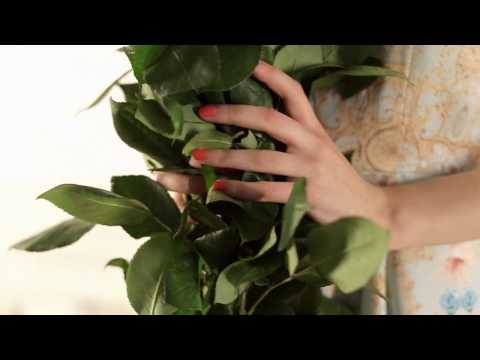 Ida Sjöstedt for Monki