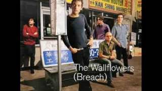 The Wallflowers - Letters From the Wasteland