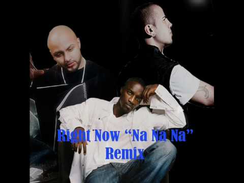 Akon - Right Now Na Na Na Remix Ft. Danny Fernandes - Ali The Don
