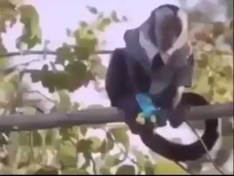 Mr Drops is kinda SUS...