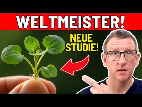 Die TOP 3 gesündesten Lebensmittel der Welt - NEUE Studie!