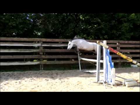 Valériane 19 /10/ 2013