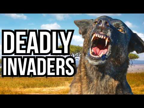 Ranking Each Of The 7 Continents By Their Deadliest Invasive Species