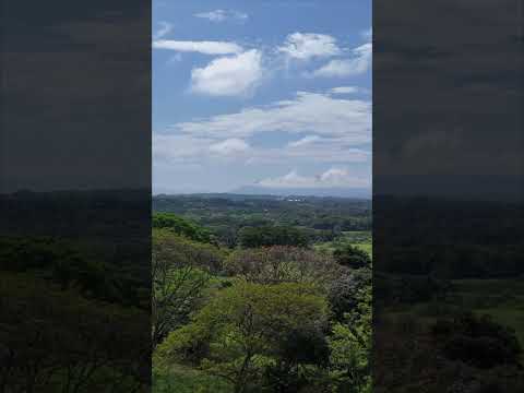 img-video