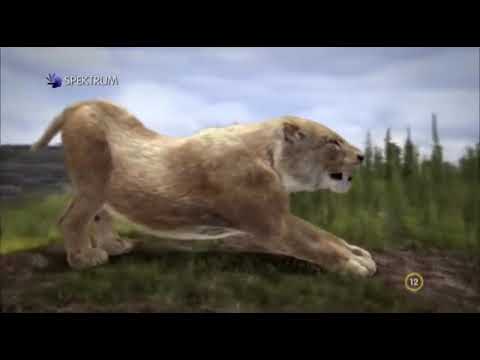 Masztodonok, a jégkorszak óriásai  A halálcsapda  Dokumentum film