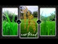 Mahiye Jinna Sohna Darshan Raval ️ Aesthetic Status WhatsApp Status Video Shorts