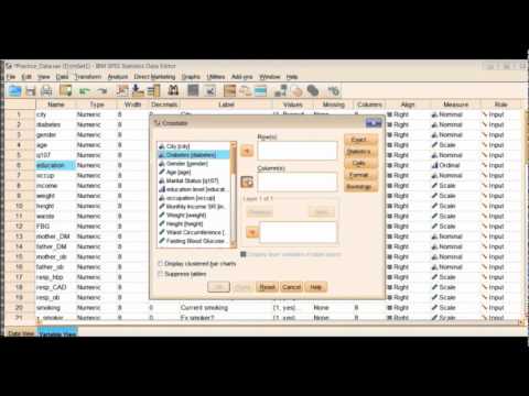 Spss Tutorial 1