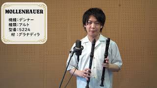 Download lagu 中村栄宏先生選定品　N49【Mollenhouer】　アルトリコーダー　5224　グラナディラ mp3