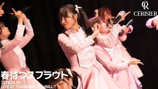 スリジエ「春待つスプラウト」 LIVEFULL ver.2026年4月29日OGライブ