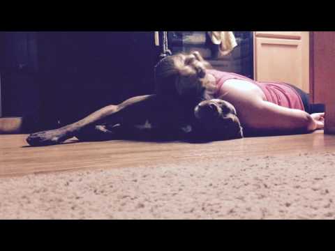 Service pit bull training to protect owner's head when she has a seizure.