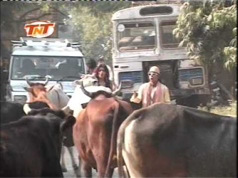 Hum Hain Banaras Ke Bhaiya - Bhojpuri Comedy Song