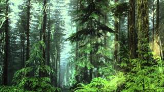 Burzum [Video HD] Alfadanz (Umskiptar)