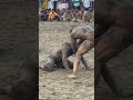Hodi Irani V S Sonu Kangra