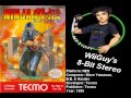 OLD MIX Ninja Gaiden NES Soundtrack 8BitStereo