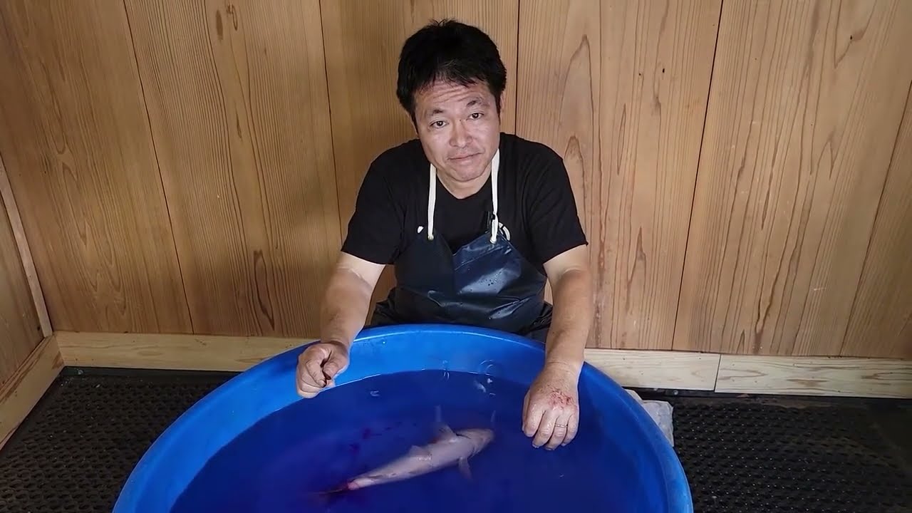 How To Treat Koi Fish Illness - Diagnose Symptoms and Treatments for Ill Koi Fish