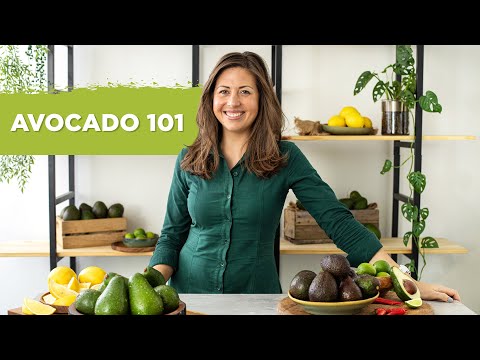 Avocado 101 | Everything you need to know