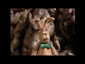 Follow That Bunny