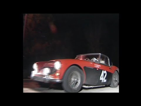 Big Healeys in action