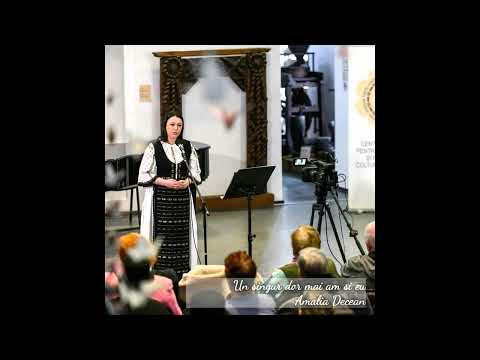 Un singur dor mai am și eu - Amalia Decean