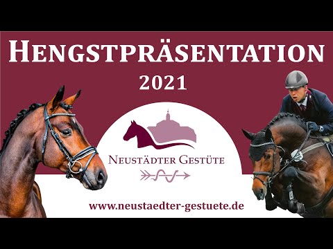 Neustädter Hengstpräsentation 2021