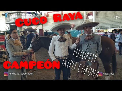 Entrevista a Cuco Raya - Campeón del Futurity Triple Corona de CCCM montando a Fortuna