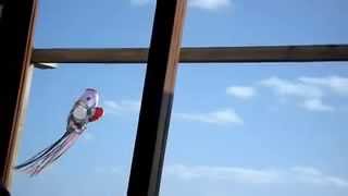 LEANDRO FRESCO & GUSTAVO CERATI - El Domingo pasa por la ventana