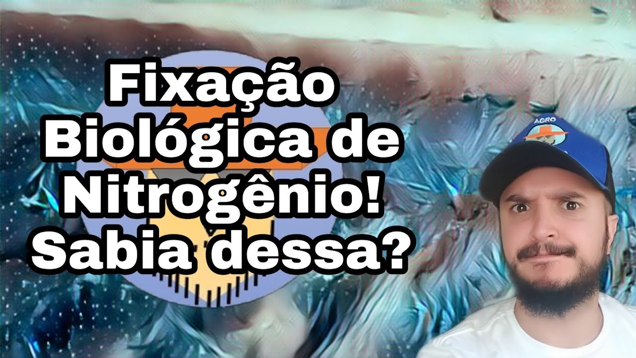 Fixação Biológica de Nitrogênio - FBN - SABIA DESSA? - Resumo dos principais conceitos práticos
