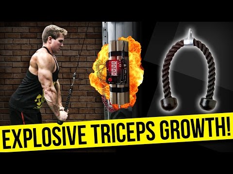 Muscular Strenght Title