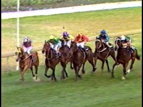 1984 ATC Hill Stakes