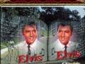 Elvis Presley Judy 